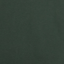 BIRKHOLM Sweatshirt Platan Grøn